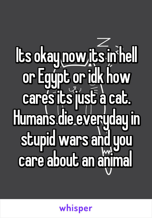 Its okay now its in hell or Egypt or idk how cares its just a cat. Humans die everyday in stupid wars and you care about an animal 