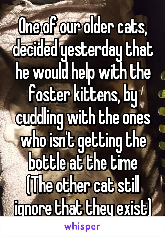 One of our older cats, decided yesterday that he would help with the foster kittens, by cuddling with the ones who isn't getting the bottle at the time
(The other cat still ignore that they exist)