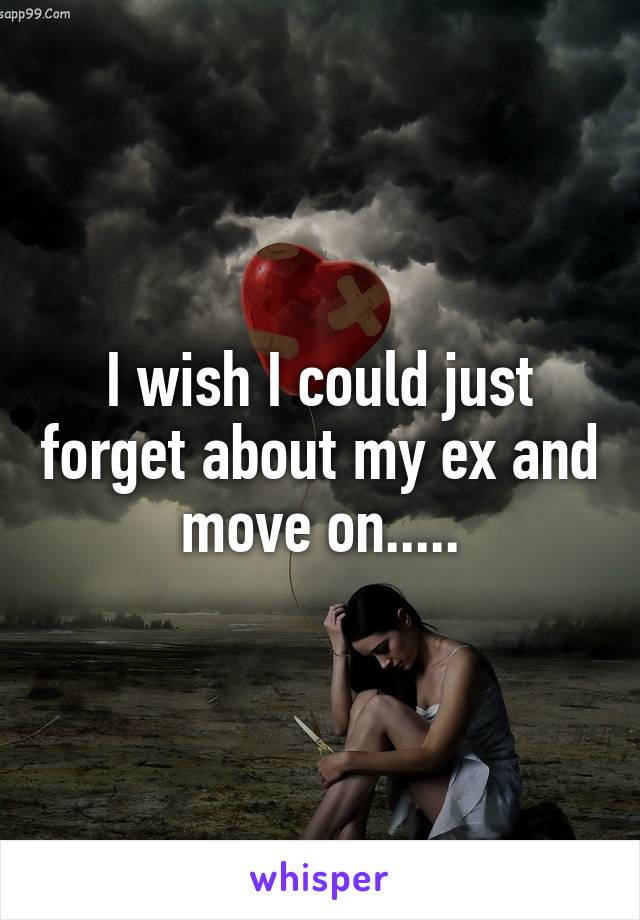 I wish I could just forget about my ex and move on.....