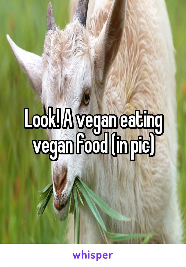 Look! A vegan eating vegan food (in pic)