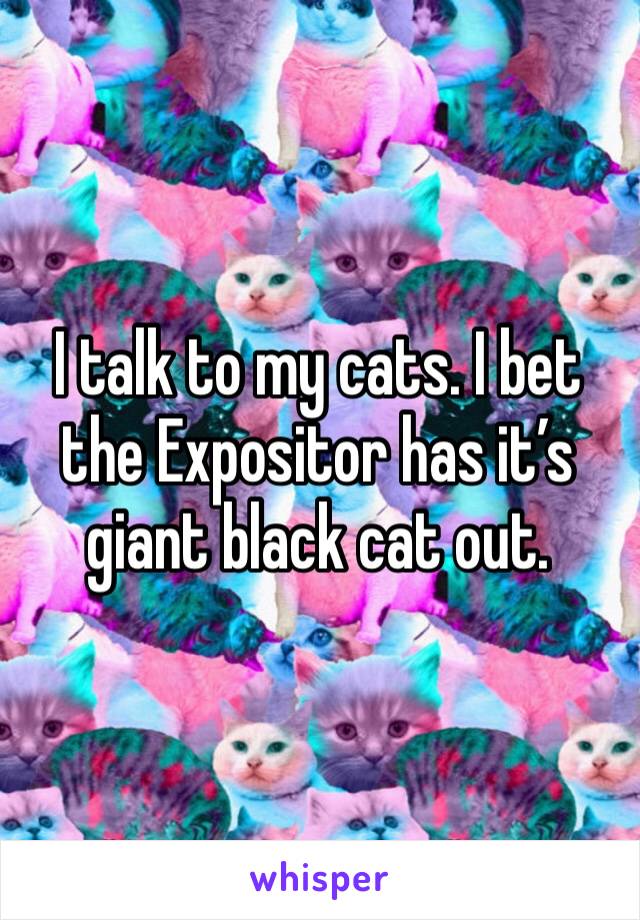 I talk to my cats. I bet the Expositor has it’s giant black cat out. 