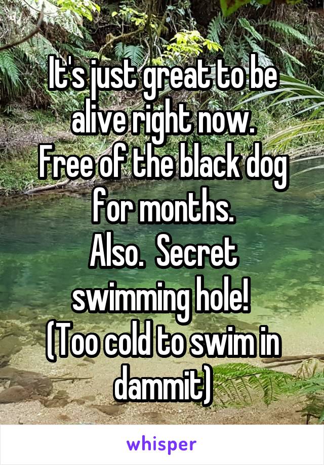 It's just great to be alive right now.
Free of the black dog for months.
Also.  Secret swimming hole! 
(Too cold to swim in dammit)