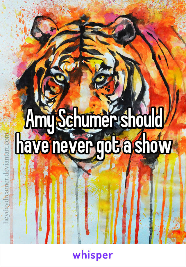 Amy Schumer should have never got a show