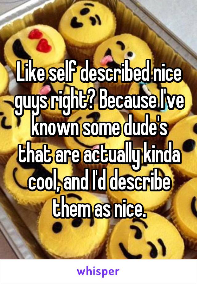 Like self described nice guys right? Because I've known some dude's that are actually kinda cool, and I'd describe them as nice.