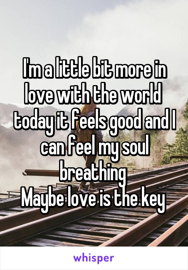 I'm a little bit more in love with the world  today it feels good and I can feel my soul breathing 
Maybe love is the key 
