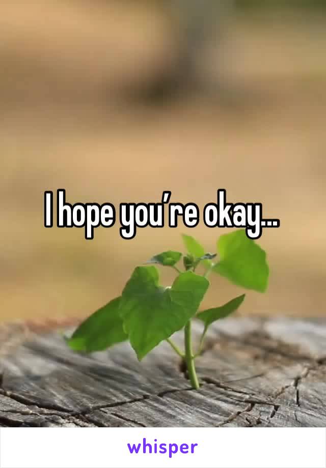 I hope you’re okay...