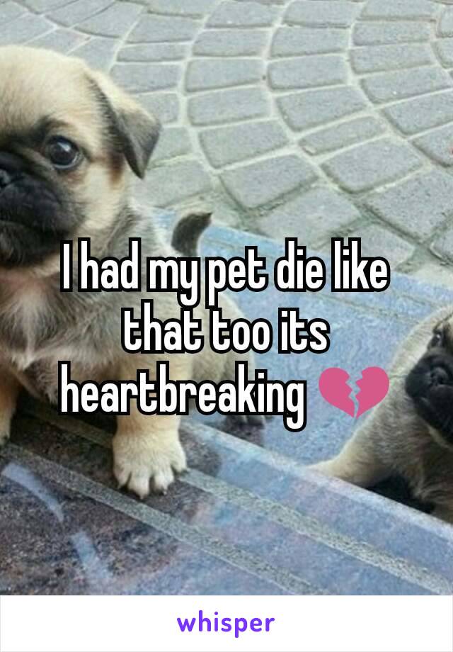 I had​ my pet die like that too its heartbreaking 💔