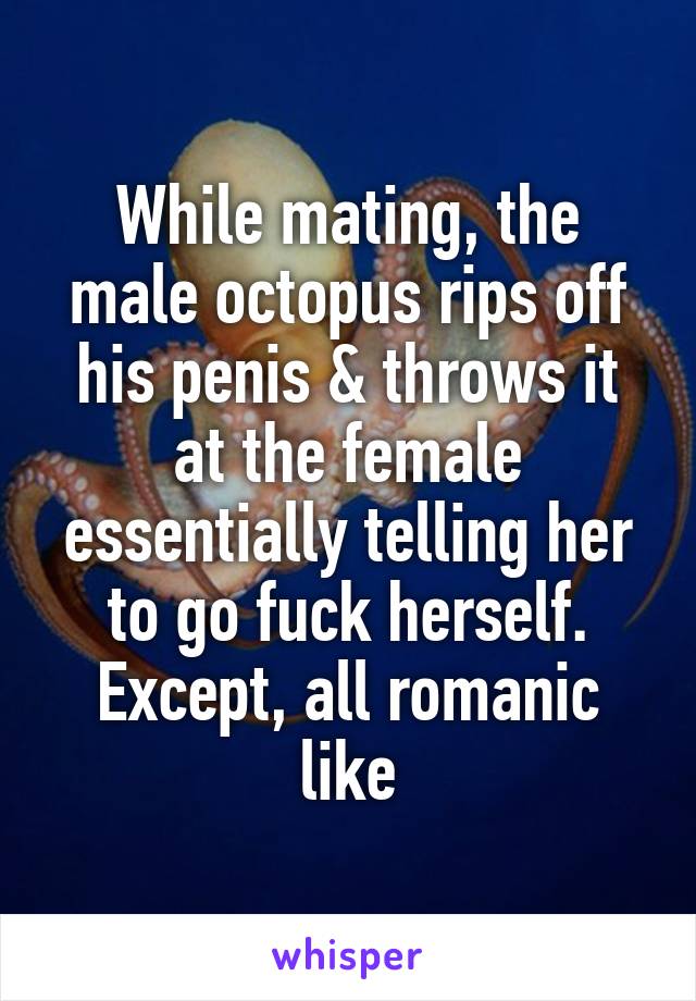 While mating, the male octopus rips off his penis & throws it at the female essentially telling her to go fuck herself. Except, all romanic like