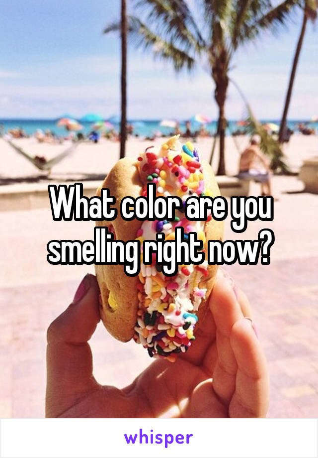 What color are you smelling right now?
