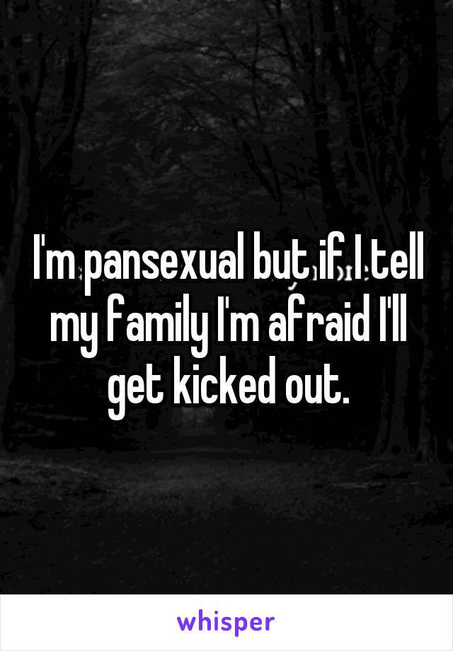 I'm pansexual but if I tell my family I'm afraid I'll get kicked out.
