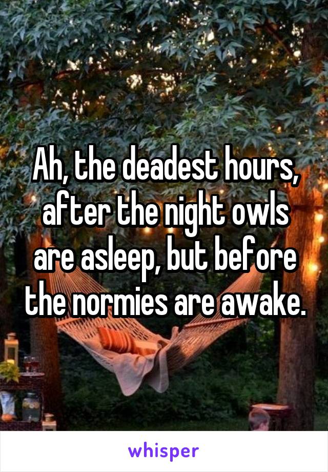 Ah, the deadest hours, after the night owls are asleep, but before the normies are awake.