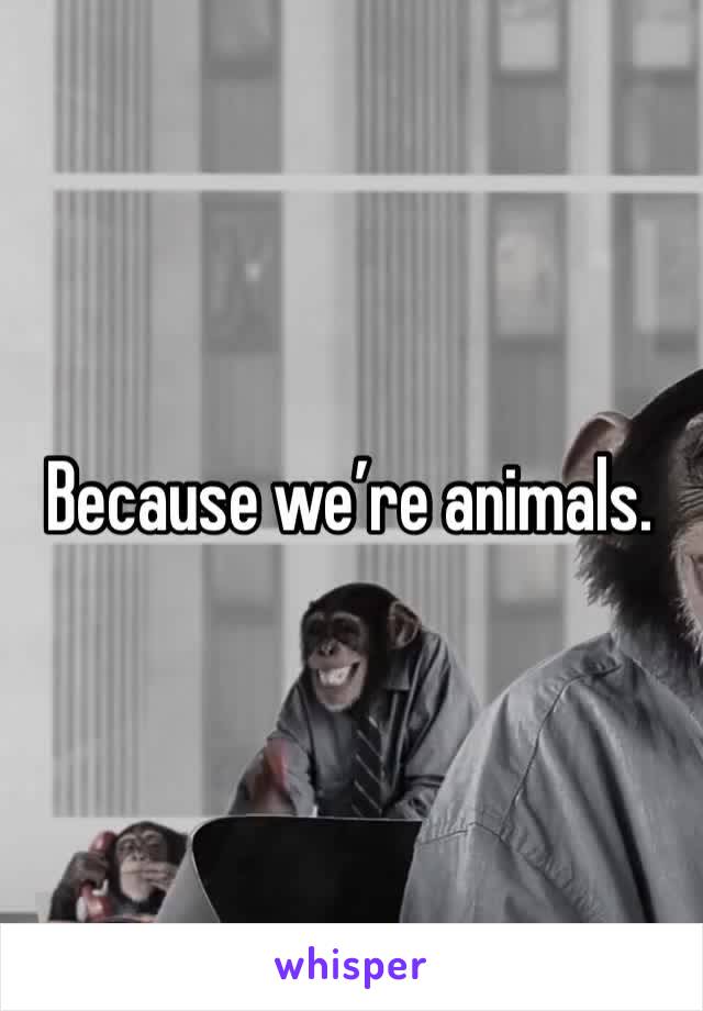 Because we’re animals.