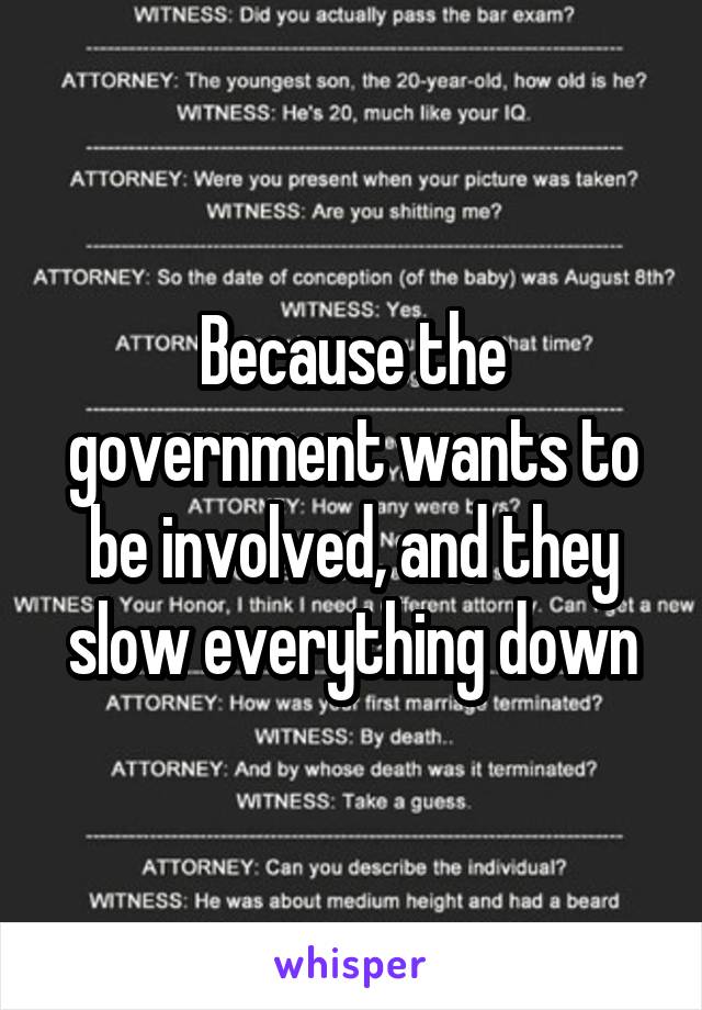 Because the government wants to be involved, and they slow everything down