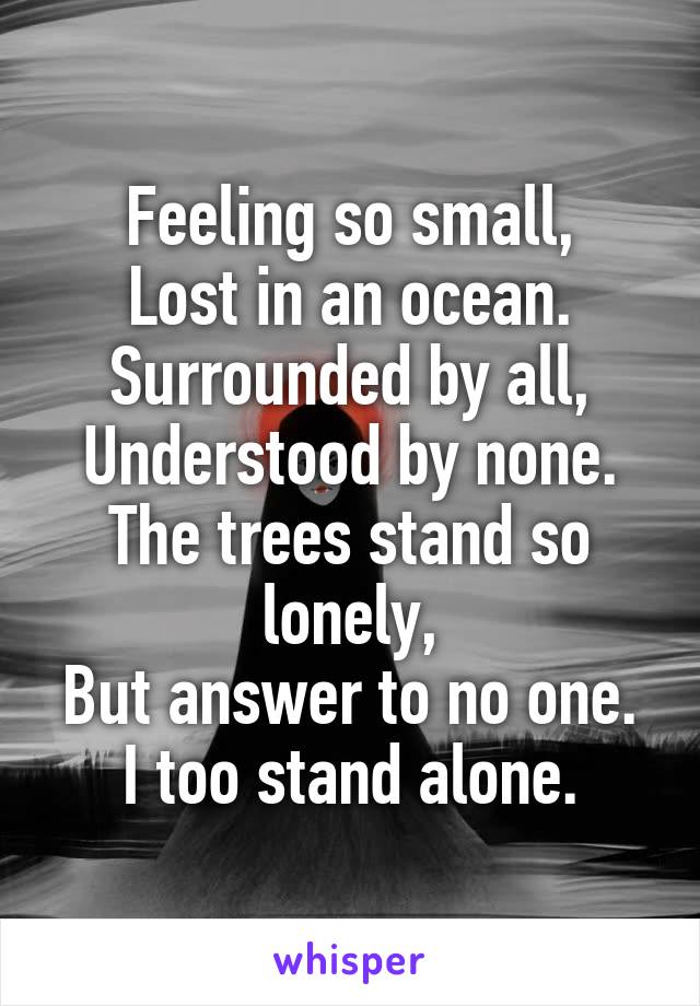 Feeling so small,
Lost in an ocean.
Surrounded by all,
Understood by none.
The trees stand so lonely,
But answer to no one.
I too stand alone.