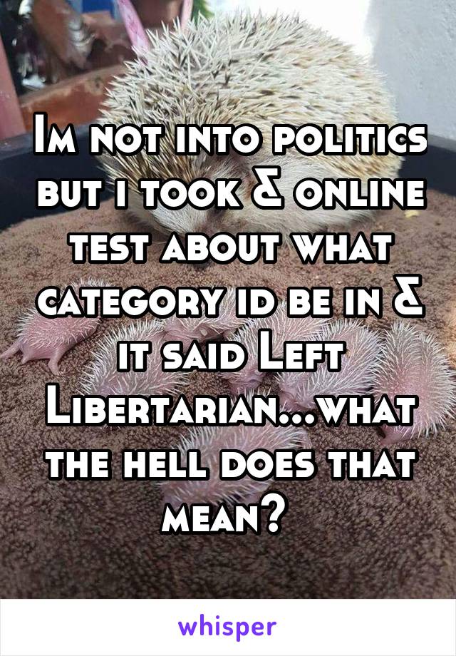 Im not into politics but i took & online test about what category id be in & it said Left Libertarian...what the hell does that mean? 