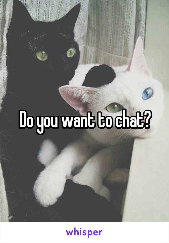 Do you want to chat?