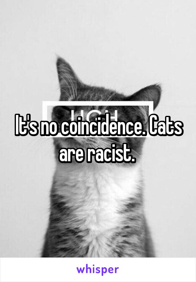 It's no coincidence. Cats are racist. 