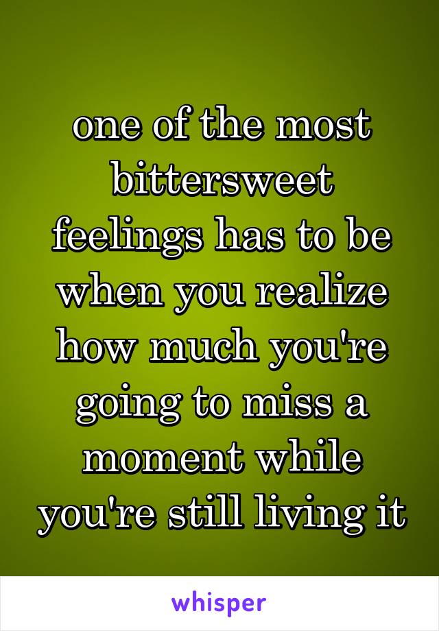 one of the most bittersweet feelings has to be when you realize how much you're going to miss a moment while you're still living it