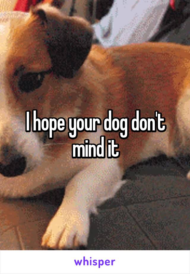 I hope your dog don't mind it