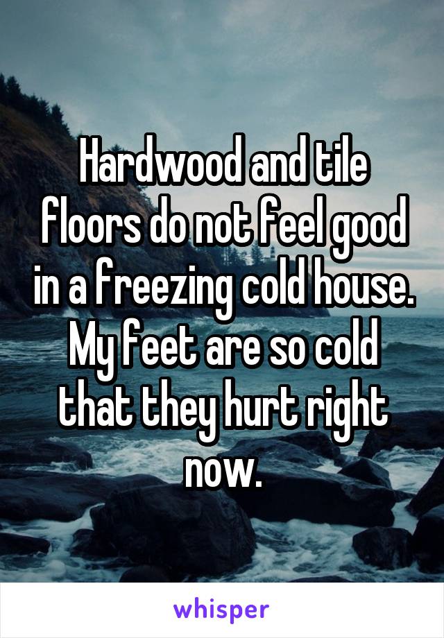 Hardwood and tile floors do not feel good in a freezing cold house. My feet are so cold that they hurt right now.