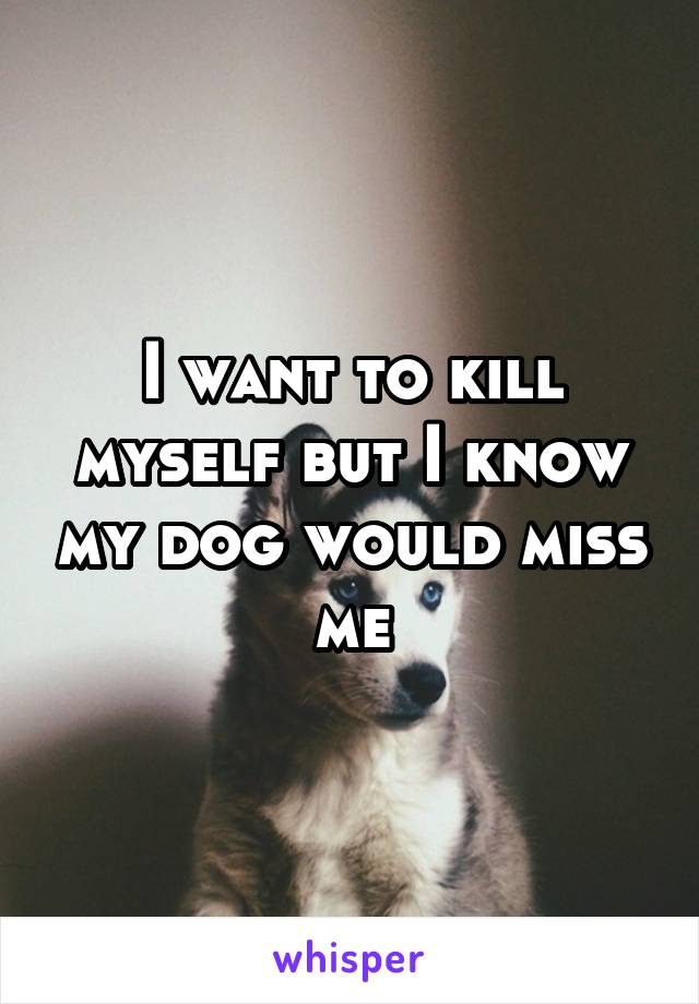 I want to kill myself but I know my dog would miss me