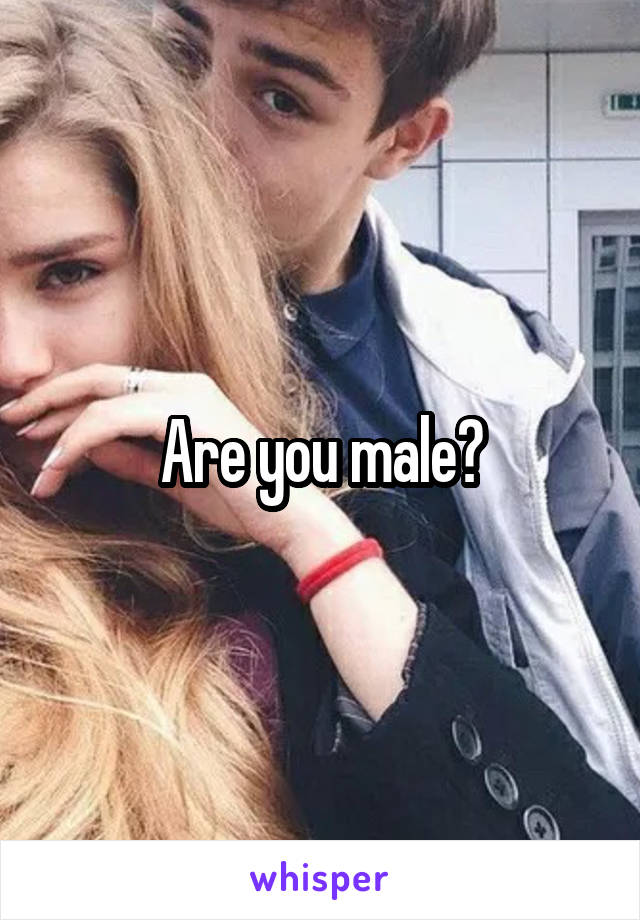 Are you male?