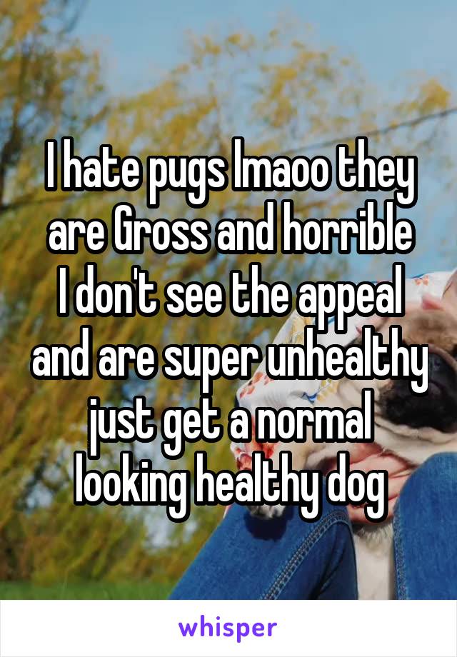 I hate pugs lmaoo they are Gross and horrible
I don't see the appeal and are super unhealthy just get a normal looking healthy dog