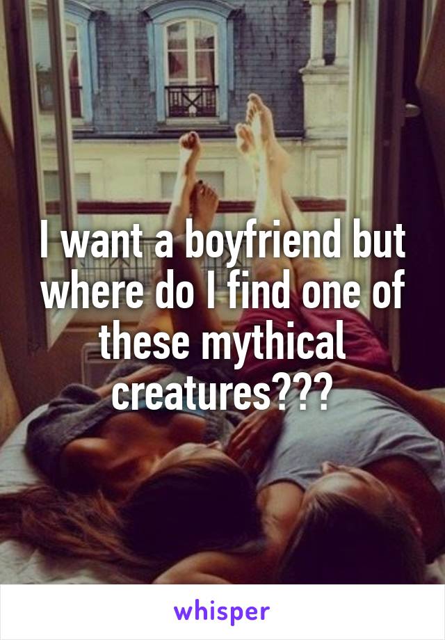 I want a boyfriend but where do I find one of these mythical creatures???