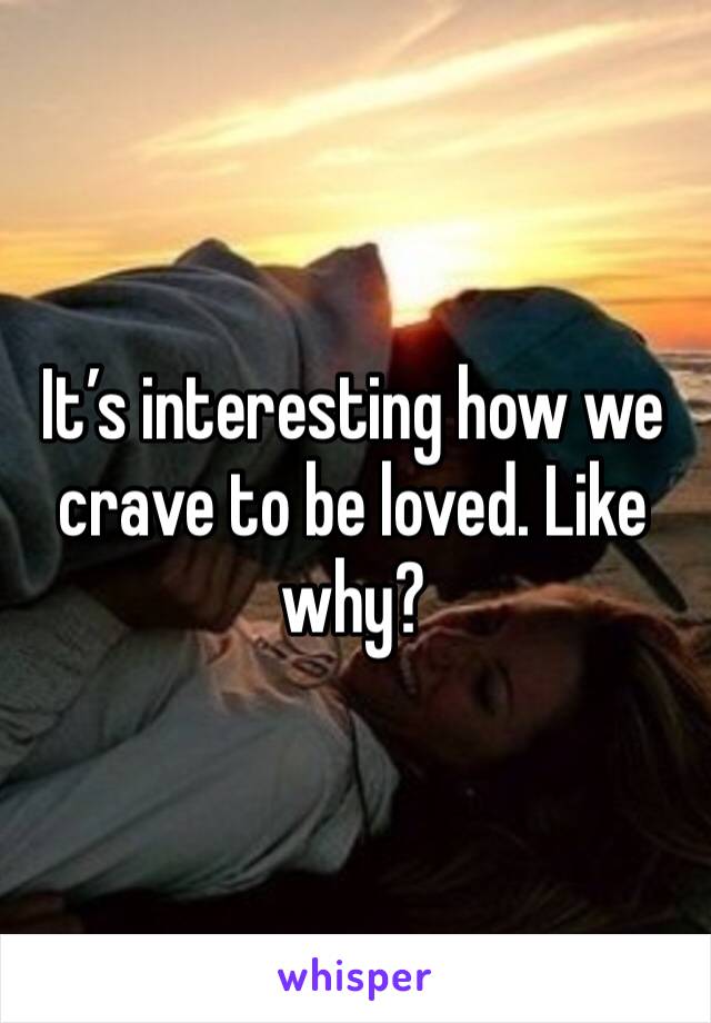 It’s interesting how we crave to be loved. Like why? 