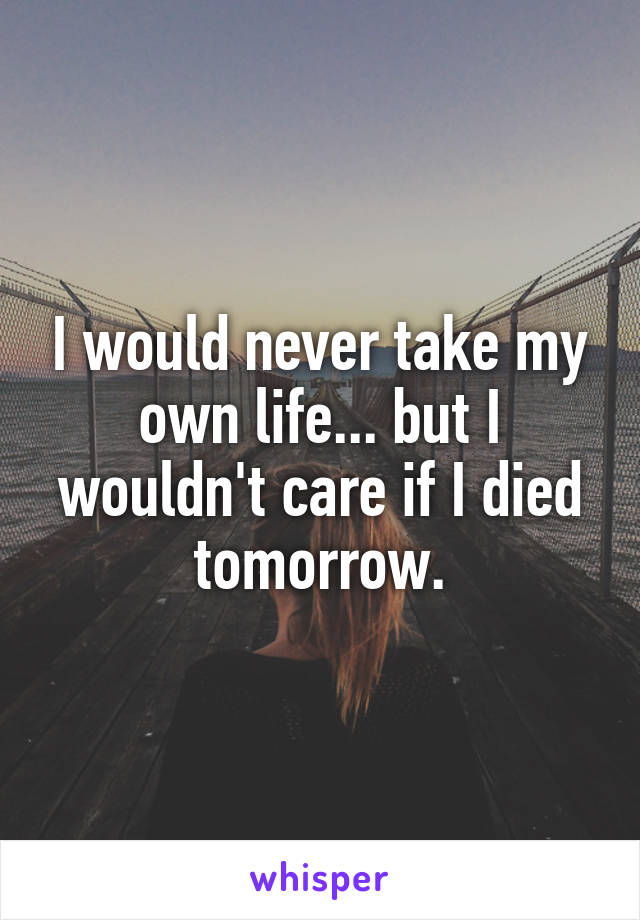 I would never take my own life... but I wouldn't care if I died tomorrow.