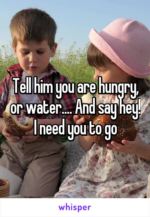 Tell him you are hungry, or water.... And say hey! I need you to go