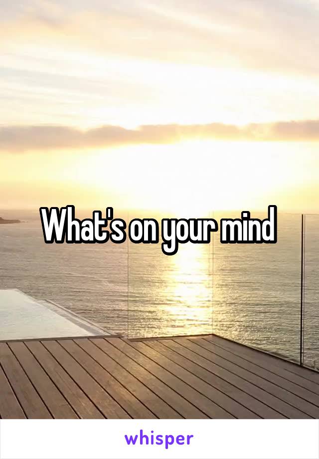 What's on your mind 