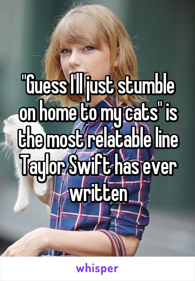 "Guess I'll just stumble on home to my cats" is the most relatable line Taylor Swift has ever written