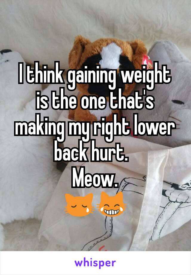 I think gaining weight is the one that's making my right lower back hurt.  
Meow.
😿😹