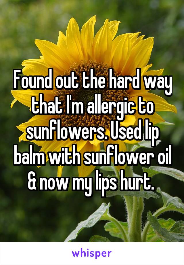 Found out the hard way that I'm allergic to sunflowers. Used lip balm with sunflower oil & now my lips hurt. 