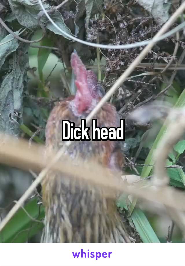 Dick head