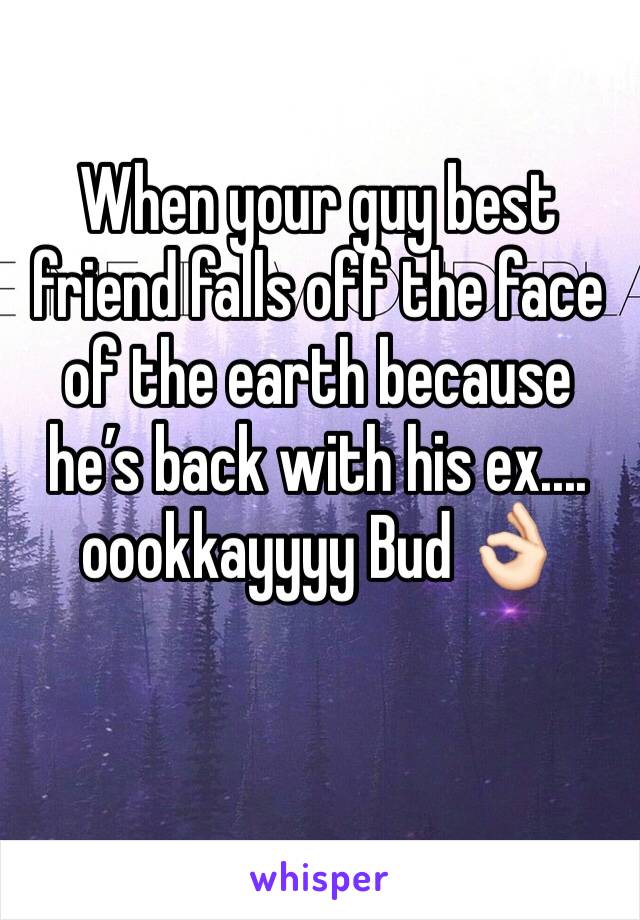 When your guy best friend falls off the face of the earth because he’s back with his ex.... oookkayyyy Bud 👌🏻