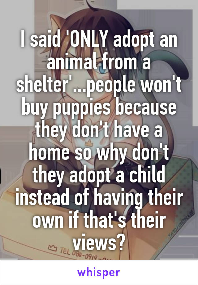 I said 'ONLY adopt an animal from a shelter'...people won't buy puppies because they don't have a home so why don't they adopt a child instead of having their own if that's their views?
