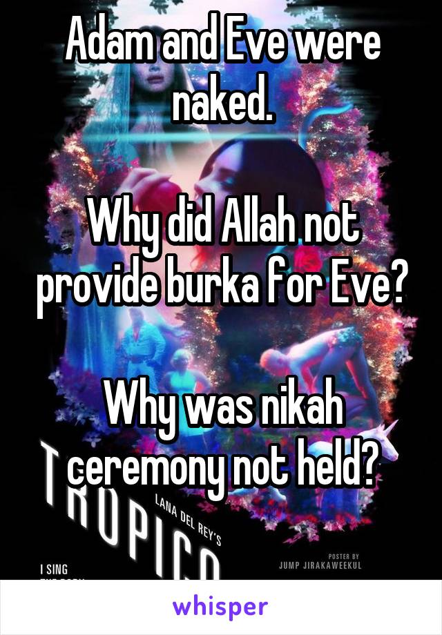 Adam and Eve were naked.

Why did Allah not provide burka for Eve?

Why was nikah ceremony not held?

