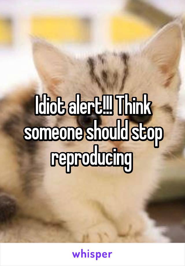 Idiot alert!!! Think someone should stop reproducing 