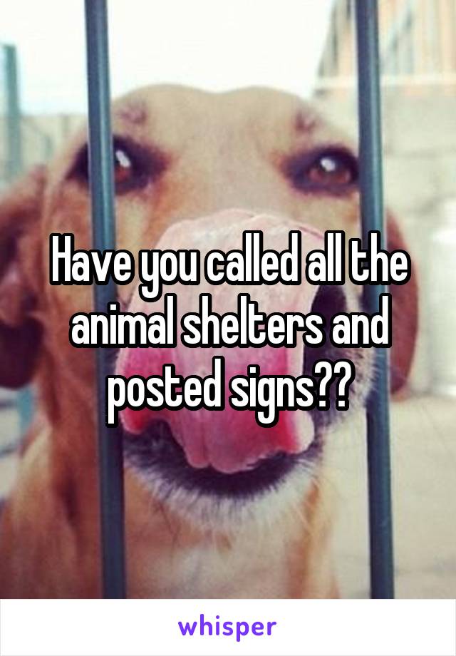 Have you called all the animal shelters and posted signs??