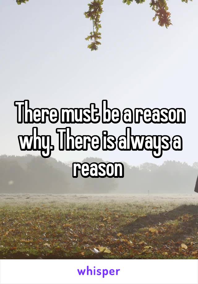 There must be a reason why. There is always a reason 