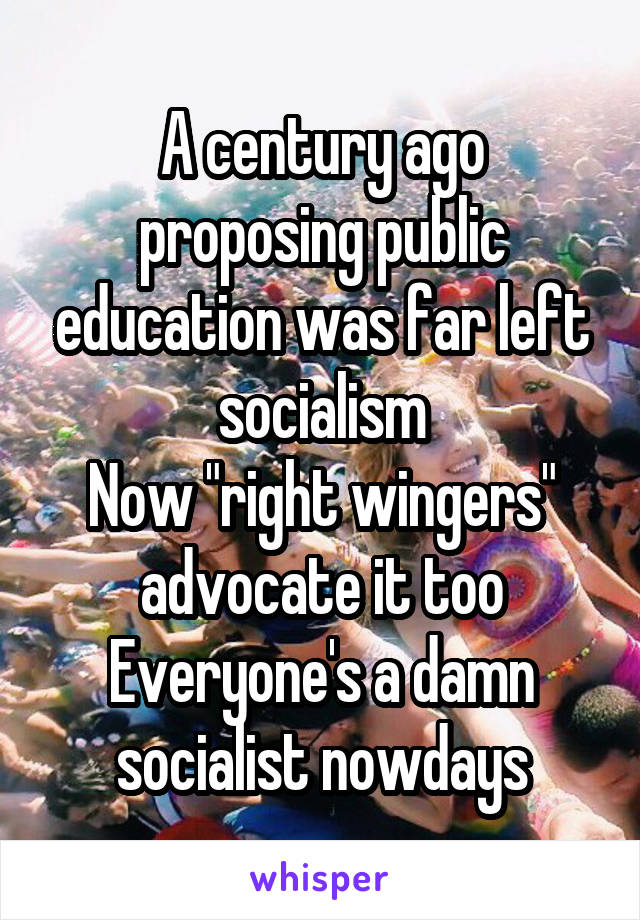 A century ago proposing public education was far left socialism
Now "right wingers" advocate it too
Everyone's a damn socialist nowdays