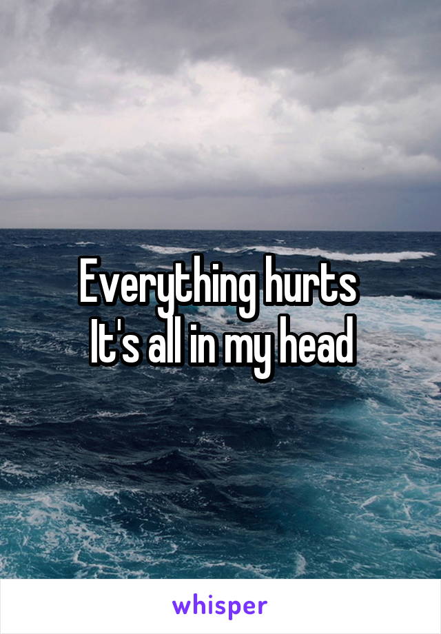 Everything hurts 
It's all in my head