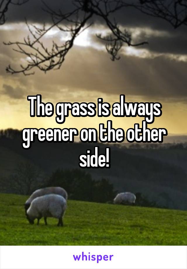 The grass is always greener on the other side!