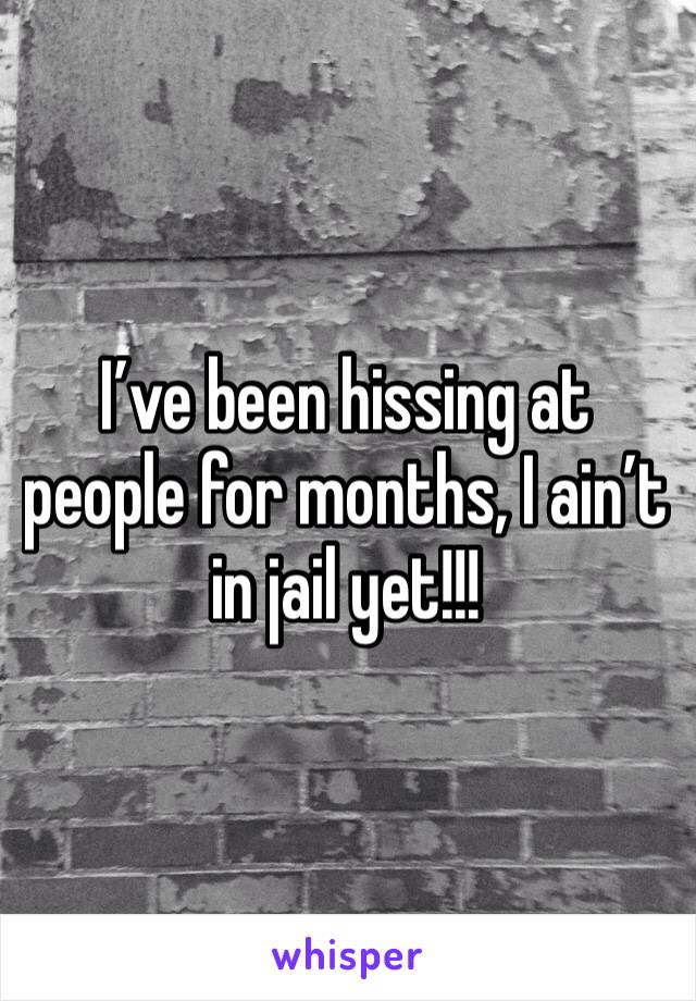 I’ve been hissing at people for months, I ain’t in jail yet!!!