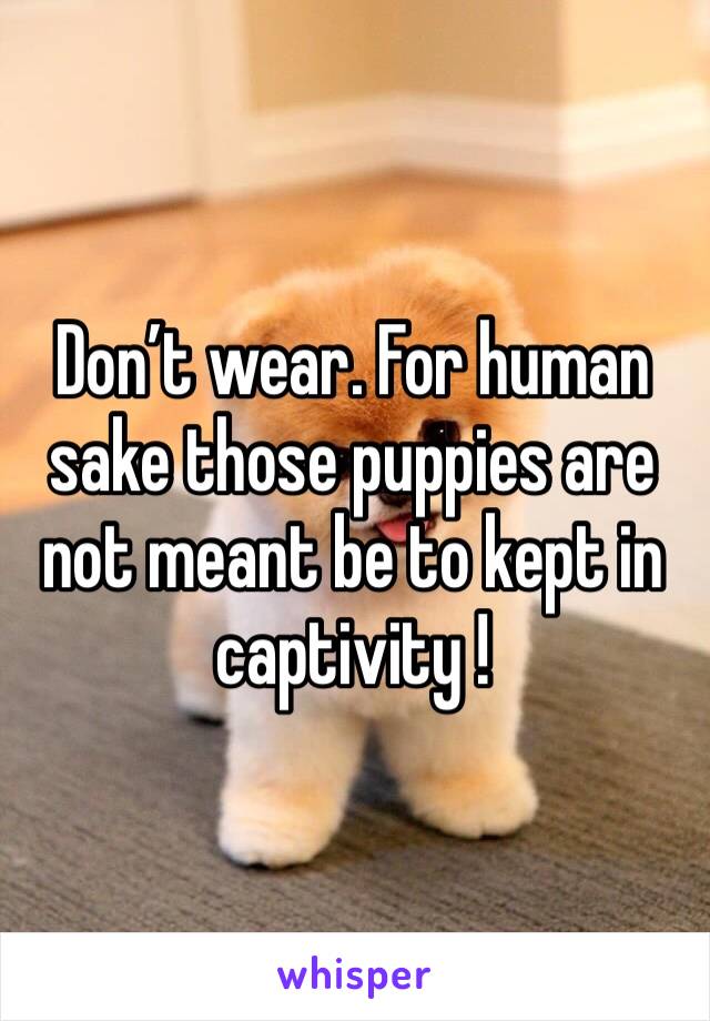 Don’t wear. For human sake those puppies are not meant be to kept in captivity !