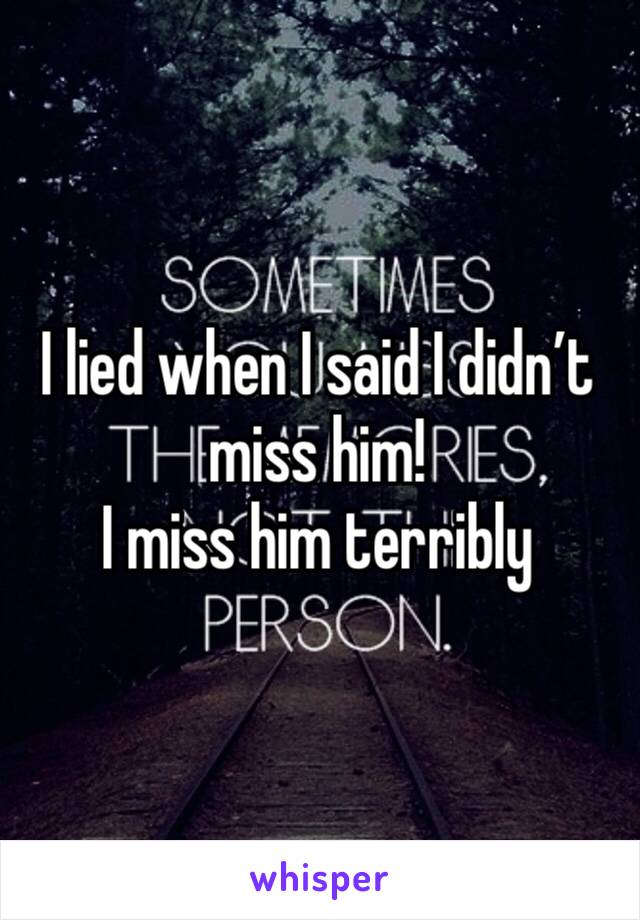 I lied when I said I didn’t miss him!
I miss him terribly 