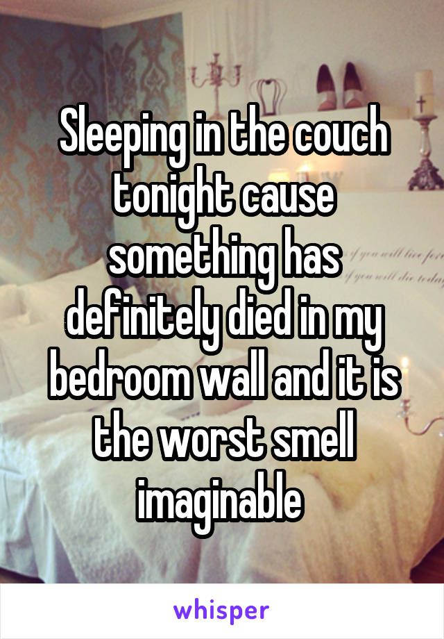 Sleeping in the couch tonight cause something has definitely died in my bedroom wall and it is the worst smell imaginable 