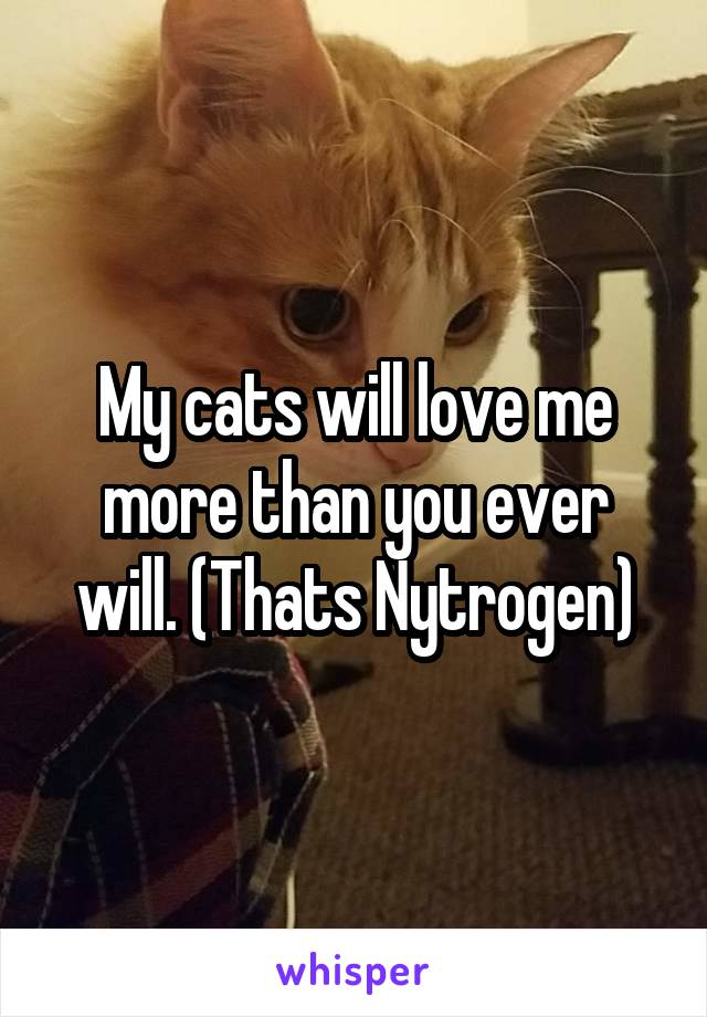 My cats will love me more than you ever will. (Thats Nytrogen)
